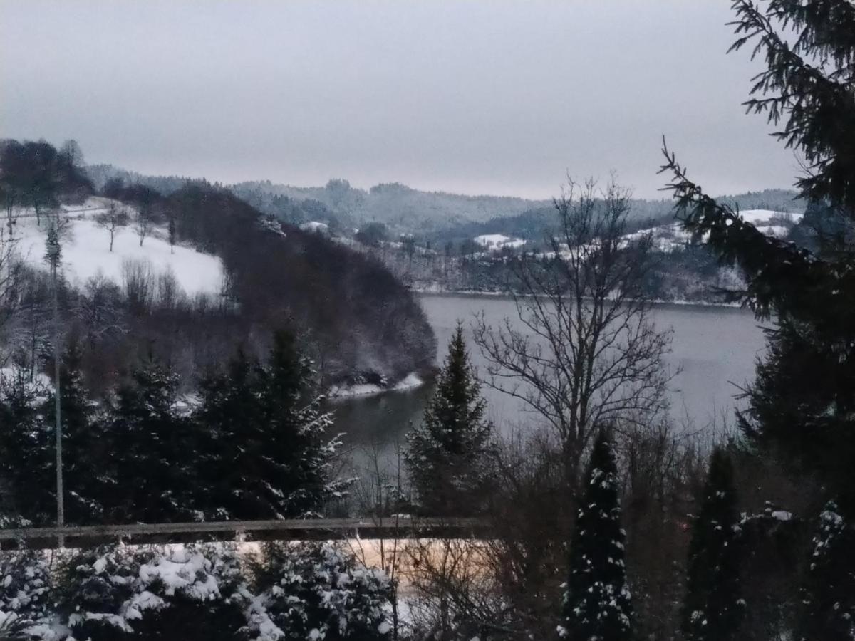 Dom W Bieszczadach 10 Osobowy Villa Wolkowyja Dış mekan fotoğraf
