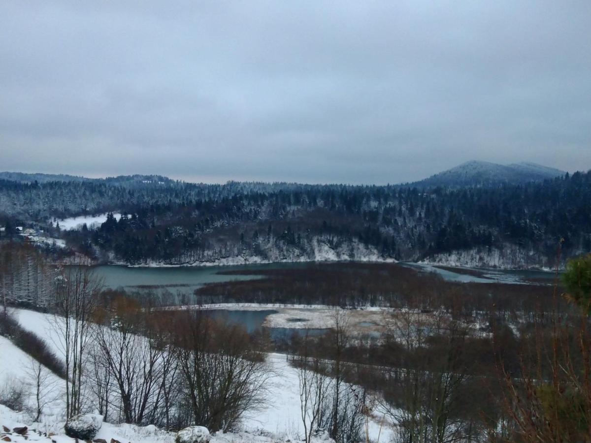 Dom W Bieszczadach 10 Osobowy Villa Wolkowyja Dış mekan fotoğraf